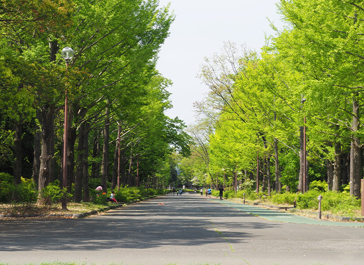 イメージ写真：所沢航空公園